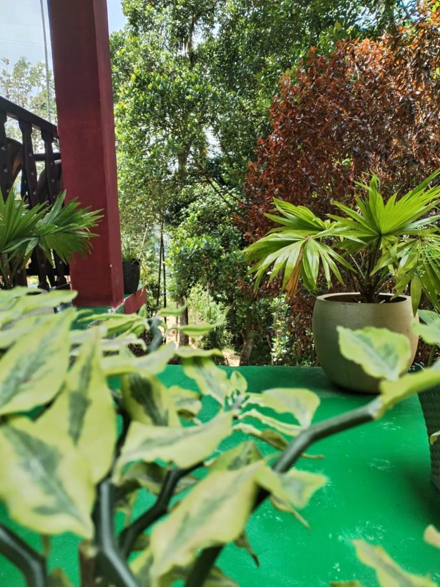 Ella Shali'S Home Bagian luar foto