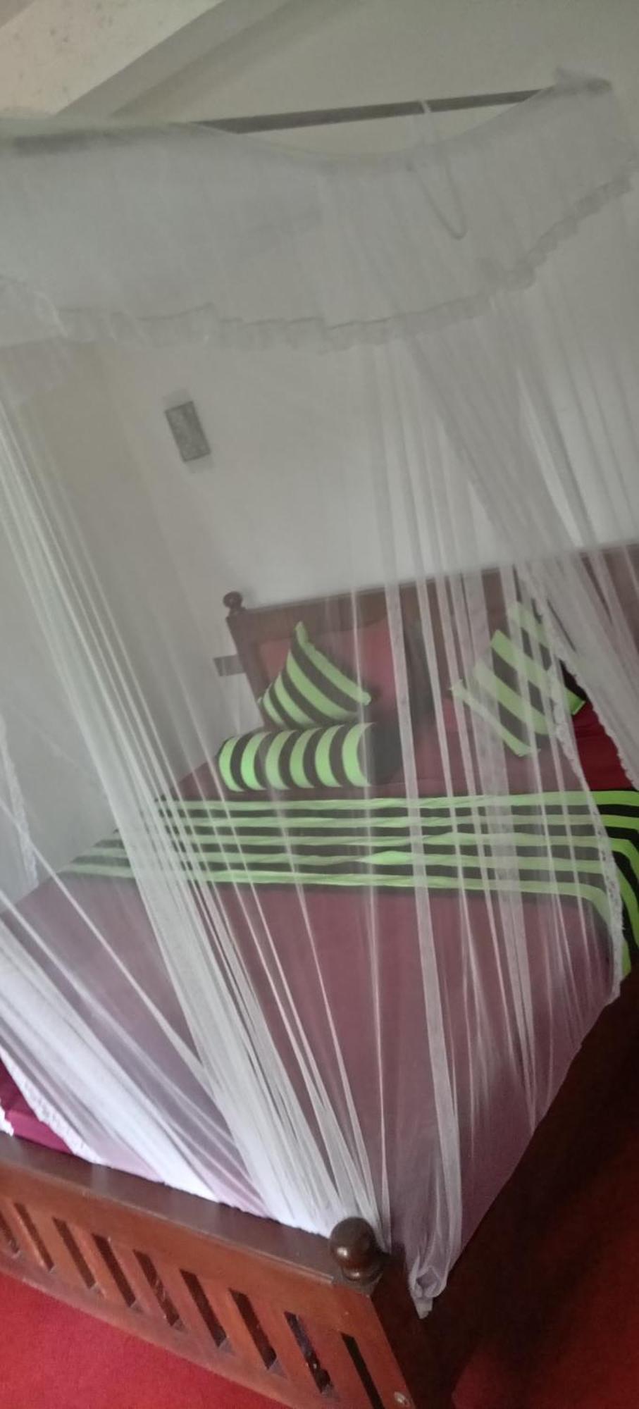 Ella Shali'S Home Bagian luar foto